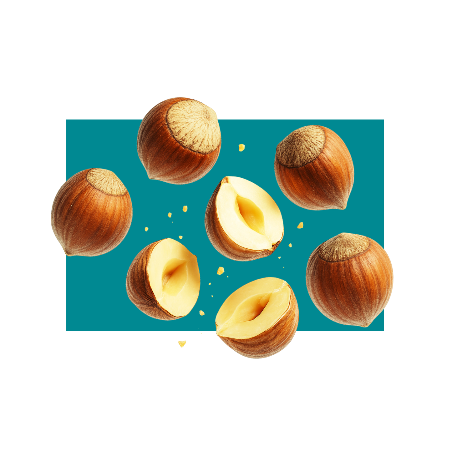 Meredav Doğal Kabuklu Fındık – Premium Kalite